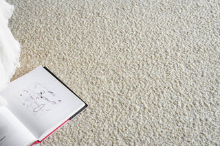 Exquisite Rugs Ferretti 5752 Silver/Ivory Area Rug Lifestyle Image Feature