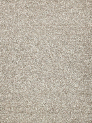 Exquisite Rugs Ferretti 5754 Light Brown Area Rug main image