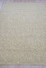 Exquisite Rugs Ferretti 5754 Light Brown Area Rug Closeup Image