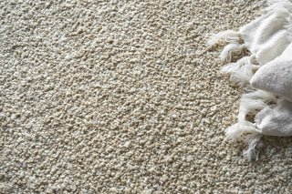 Exquisite Rugs Ferretti 5754 Light Brown Area Rug Detail Image