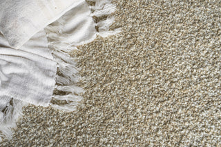 Exquisite Rugs Ferretti 5754 Light Brown Area Rug Lifestyle Image Feature