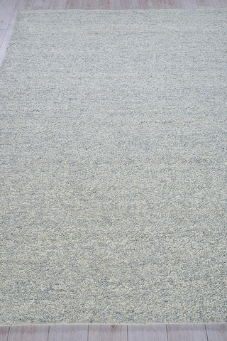 Exquisite Rugs Ferretti 5755 Light Gray/Ivory Area Rug Closeup Image