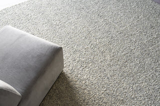 Exquisite Rugs Ferretti 5755 Light Gray/Ivory Area Rug Detail Image