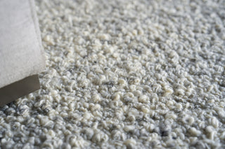 Exquisite Rugs Ferretti 5755 Light Gray/Ivory Area Rug Lifestyle Image Feature