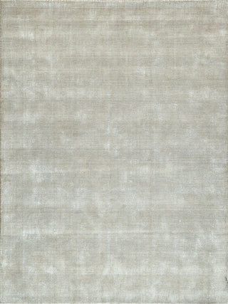 Exquisite Rugs Serena 5772 Beige Area Rug by The Met main image