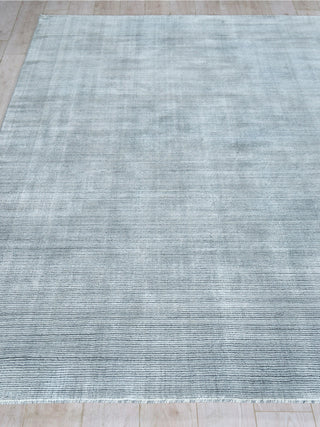Exquisite Rugs Serena 5874 Dark Gray Area Rug by The Met Closeup Image