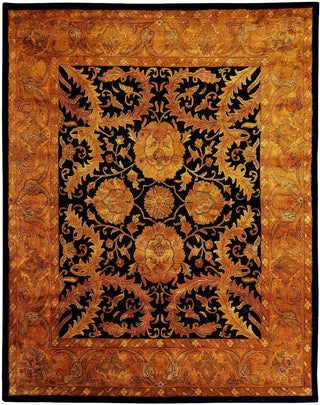 Exquisite Rugs Tufted Agra 5953 Black/Gold Area Rug main image
