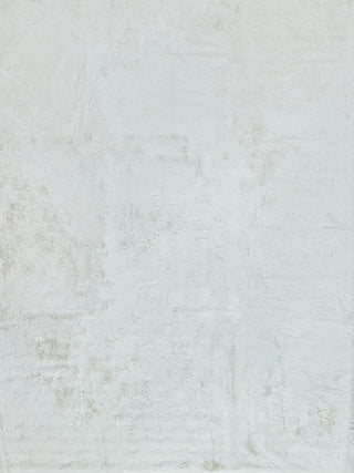 Exquisite Rugs Kozi 6252 Ivory Area Rug main image