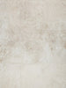 Exquisite Rugs Kozi 6254 Beige Area Rug main image