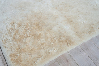 Exquisite Rugs Kozi 6254 Beige Area Rug Corner Image