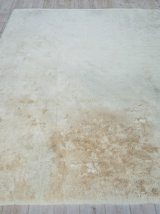 Exquisite Rugs Kozi 6254 Beige Area Rug Closeup Image