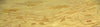 Exquisite Rugs Agra 6394 Beige Area Rug Corner Image