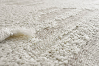 Exquisite Rugs Canyon 6427 Ivory/Beige Area Rug Lifestyle Image Feature