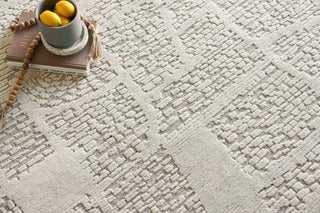 Exquisite Rugs Calexico 6429 Ivory/Beige Area Rug Detail Image