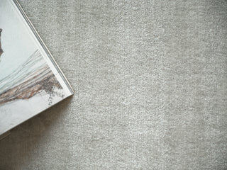 Exquisite Rugs Velutto Modern 6538 Light Silver Area Rug 