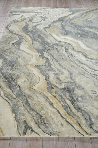 Exquisite Rugs Gianni 6648 Gray/Gold Area Rug Closeup Image