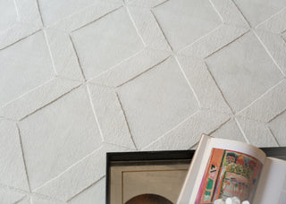 Exquisite Rugs Brunello Modern 6735 White Area Rug Room Scene 2