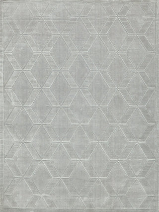 Exquisite Rugs Brunello Modern 6736 Light Silver Area Rug Main Image