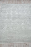 Exquisite Rugs Brunello Modern 6736 Light Silver Area Rug Pile Image