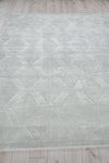 Exquisite Rugs Brunello Modern 6736 Light Silver Area Rug
