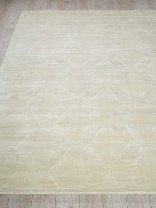 Exquisite Rugs Brunello Modern 6739 Light Beige Area Rug Closeup Image