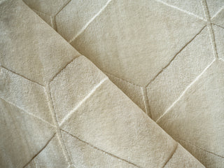 Exquisite Rugs Brunello Modern 6739 Light Beige Area Rug Pile Image