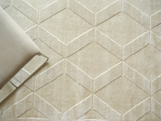 Exquisite Rugs Brunello Modern 6739 Light Beige Area Rug Detail Image