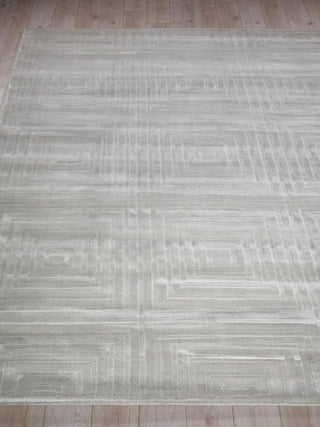 Exquisite Rugs Tovello Modern 6747 Light Silver Area Rug Closeup Image