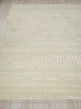 Exquisite Rugs Tovello Modern 6750 Beige Area Rug Closeup Image