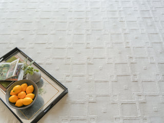 Exquisite Rugs Camora Modern 6752 White Area Rug Lifestyle Image Feature