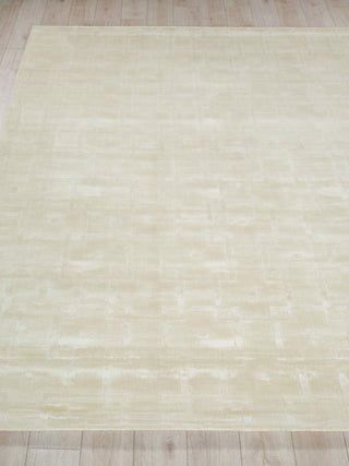 Exquisite Rugs Camora Modern 6755 Beige Area Rug Closeup Image