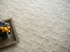 Exquisite Rugs Camora Modern 6755 Beige Area Rug Detail Image