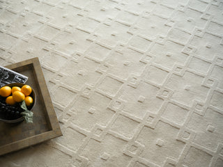 Exquisite Rugs Camora Modern 6755 Beige Area Rug Detail Image