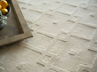 Exquisite Rugs Camora Modern 6755 Beige Area Rug 