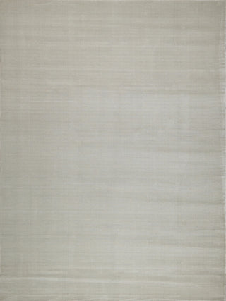 Exquisite Rugs Pavia Modern 6758 Light Silver Area Rug main image
