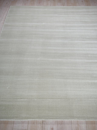 Exquisite Rugs Pavia Modern 6758 Light Silver Area Rug Closeup Image