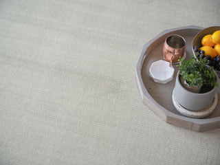 Exquisite Rugs Pavia Modern 6758 Light Silver Area Rug Detail Image
