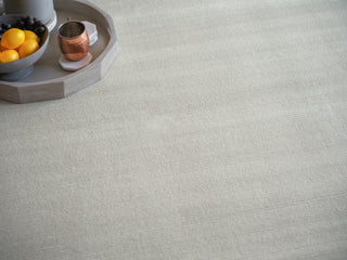 Exquisite Rugs Pavia Modern 6758 Light Silver Area Rug Lifestyle Image Feature