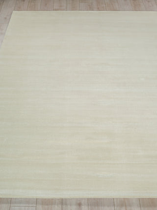 Exquisite Rugs Pavia Modern 6761 Beige Area Rug Closeup Image
