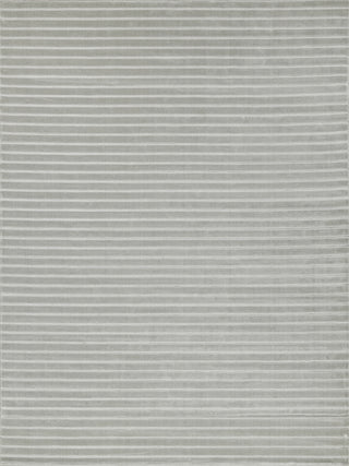Exquisite Rugs Amani Modern 6764 Light Silver Area Rug main image
