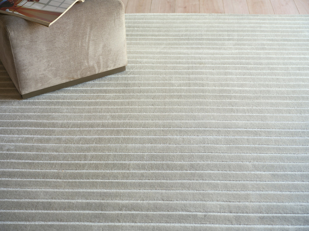 Exquisite Rugs Amani Modern 6764 Light Silver Area Rug Lifestyle Image Feature