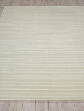 Exquisite Rugs Amani Modern 6767 Beige Area Rug Closeup Image