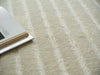 Exquisite Rugs Amani Modern 6767 Beige Area Rug 