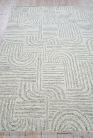 Exquisite Rugs Juno 6776 Gray/Ivory Area Rug Closeup Image