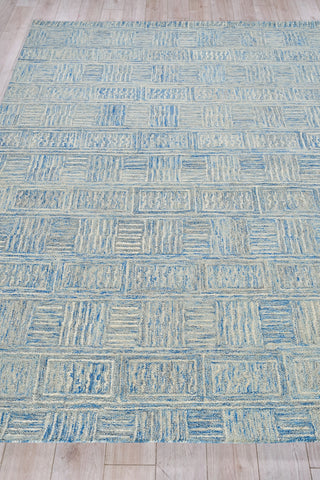 Exquisite Rugs Naturals 6778 Blue/Ivory Area Rug Closeup Image