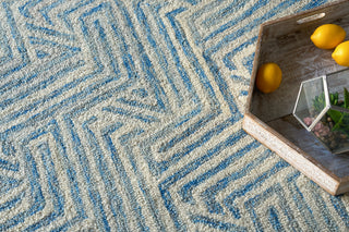 Exquisite Rugs Naturals 6783 Blue/Ivory Area Rug Lifestyle Image Feature