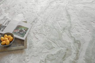 Exquisite Rugs Saccara 6807 Beige Area Rug Lifestyle Image Feature