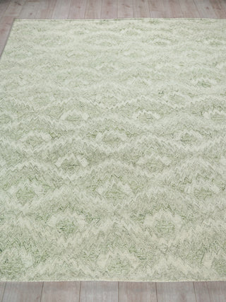 Exquisite Rugs Bargello 6817 Light Green Area Rug Closeup Image