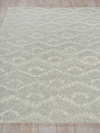 Exquisite Rugs Bargello 6818 Gray Area Rug Closeup Image