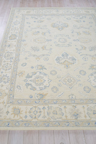 Exquisite Rugs Marietta Oushak 6822 Ivory/Ivory Area Rug Closeup Image